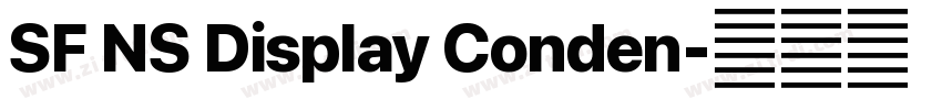 SF NS Display Conden字体转换